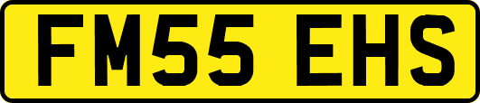 FM55EHS