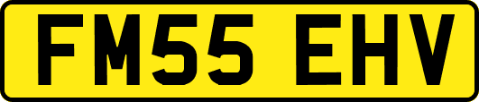 FM55EHV