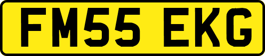 FM55EKG