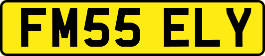 FM55ELY