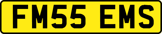 FM55EMS