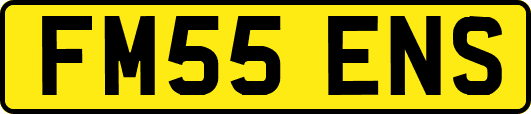 FM55ENS