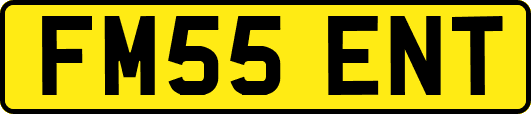 FM55ENT