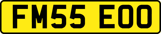 FM55EOO