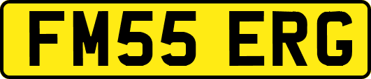 FM55ERG