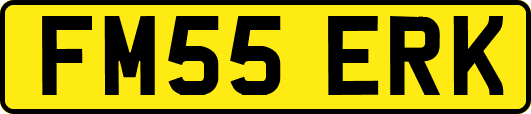 FM55ERK