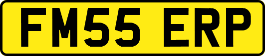 FM55ERP