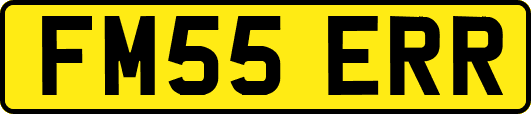 FM55ERR