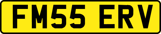 FM55ERV