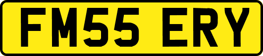 FM55ERY