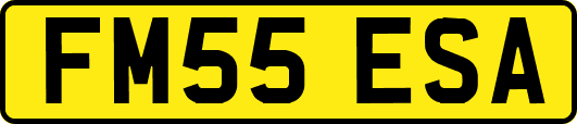 FM55ESA