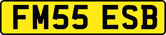 FM55ESB