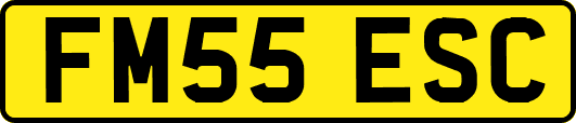 FM55ESC