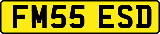 FM55ESD