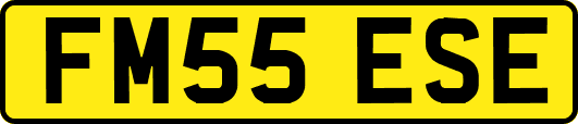 FM55ESE