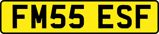 FM55ESF