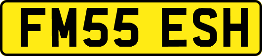 FM55ESH