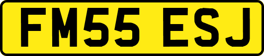 FM55ESJ