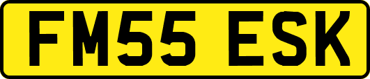 FM55ESK