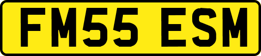 FM55ESM