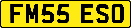 FM55ESO