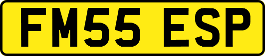 FM55ESP