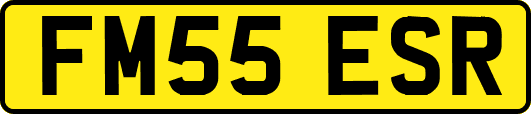 FM55ESR
