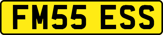 FM55ESS