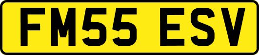 FM55ESV