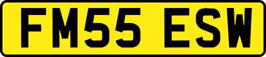FM55ESW