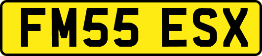 FM55ESX