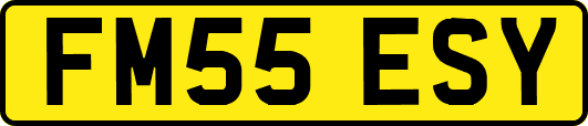 FM55ESY