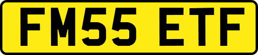 FM55ETF