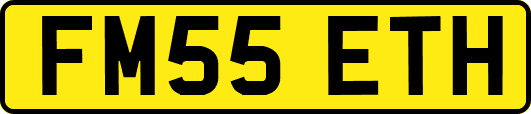 FM55ETH