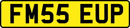 FM55EUP