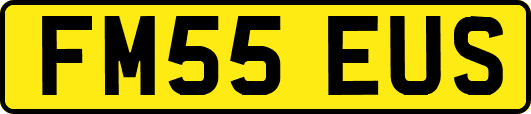 FM55EUS