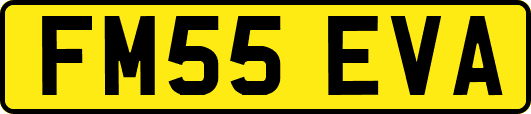 FM55EVA