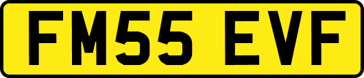 FM55EVF