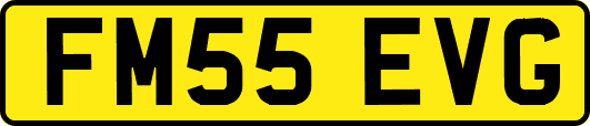 FM55EVG