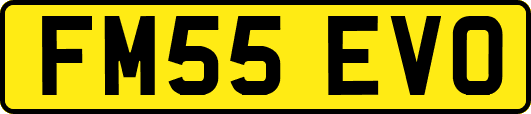 FM55EVO