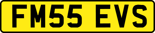 FM55EVS