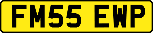 FM55EWP