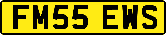 FM55EWS