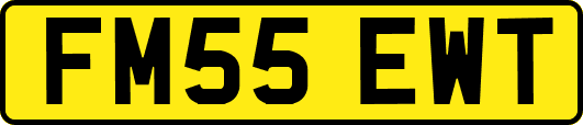 FM55EWT
