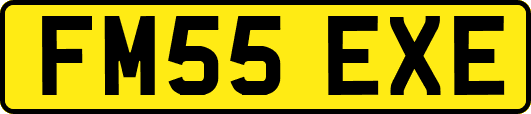 FM55EXE