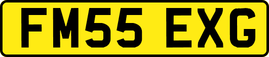 FM55EXG