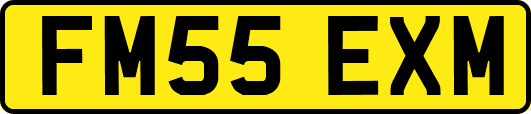 FM55EXM