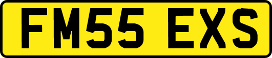 FM55EXS