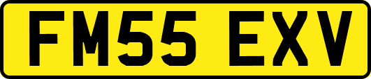 FM55EXV