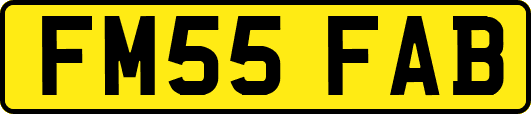 FM55FAB